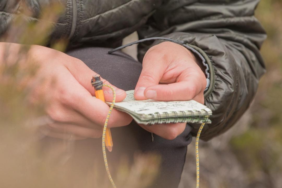 Hands holding a small notebook and pencil, for recording eagle data