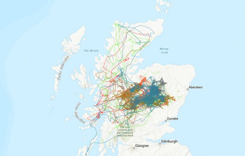 GE_FLIGHT_LINES